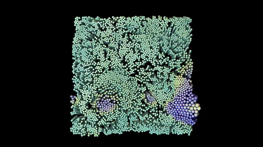 training_5_20190729_v03c4d